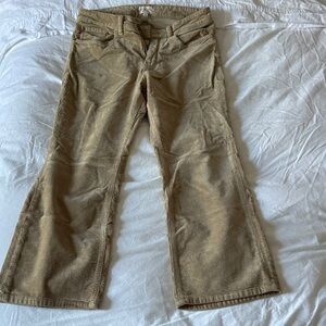 Pilcro Beige Corduroy Pants